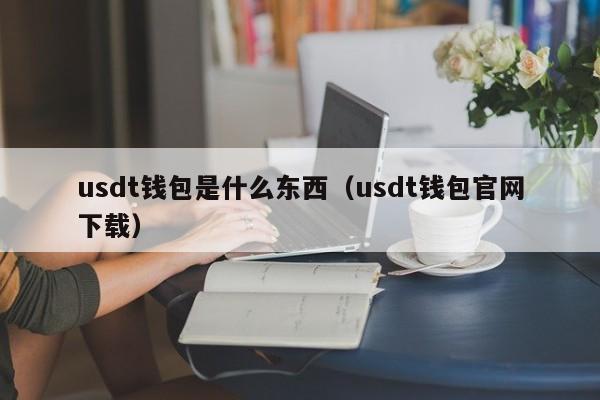 usdt钱包是什么东西（usdt钱包官网下载）