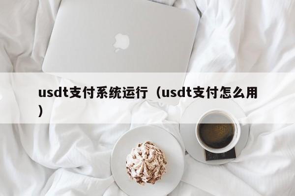 usdt支付系统运行（usdt支付怎么用）