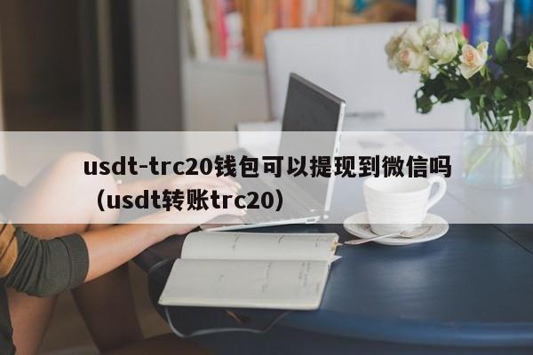 usdt-trc20钱包可以提现到微信吗（usdt转账trc20）