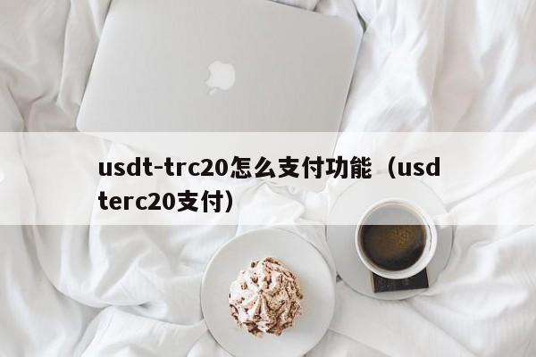 usdt-trc20怎么支付功能（usdterc20支付）
