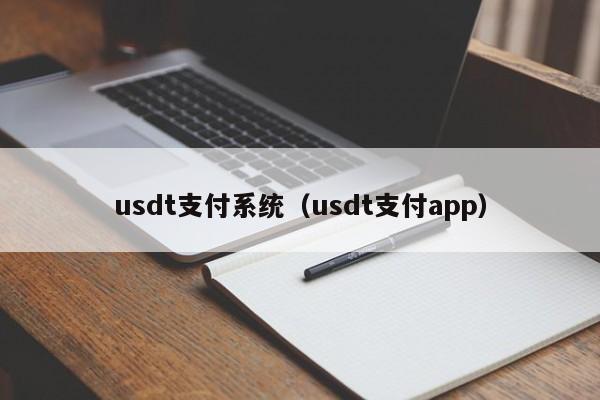usdt支付系统（usdt支付app）