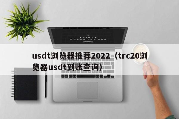 usdt浏览器推荐2022（trc20浏览器usdt到账查询）