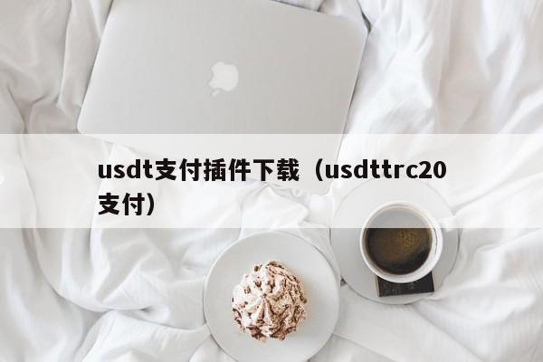 usdt支付插件下载（usdttrc20支付）