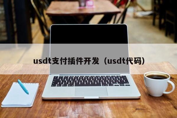 usdt支付插件开发（usdt代码）