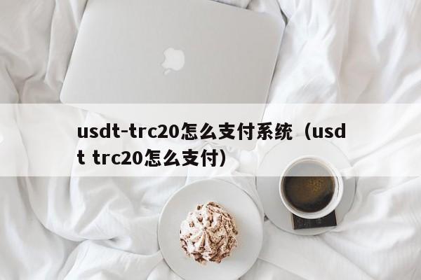 usdt-trc20怎么支付系统（usdt trc20怎么支付）