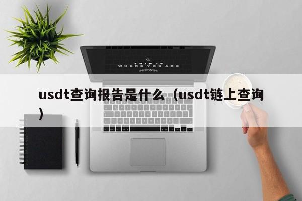 usdt查询报告是什么（usdt链上查询）