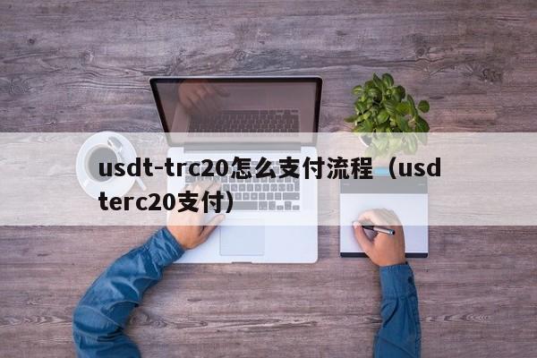 usdt-trc20怎么支付流程（usdterc20支付）