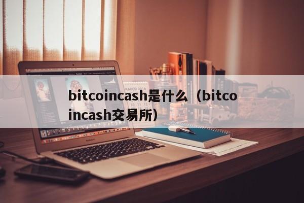 bitcoincash是什么（bitcoincash交易所）